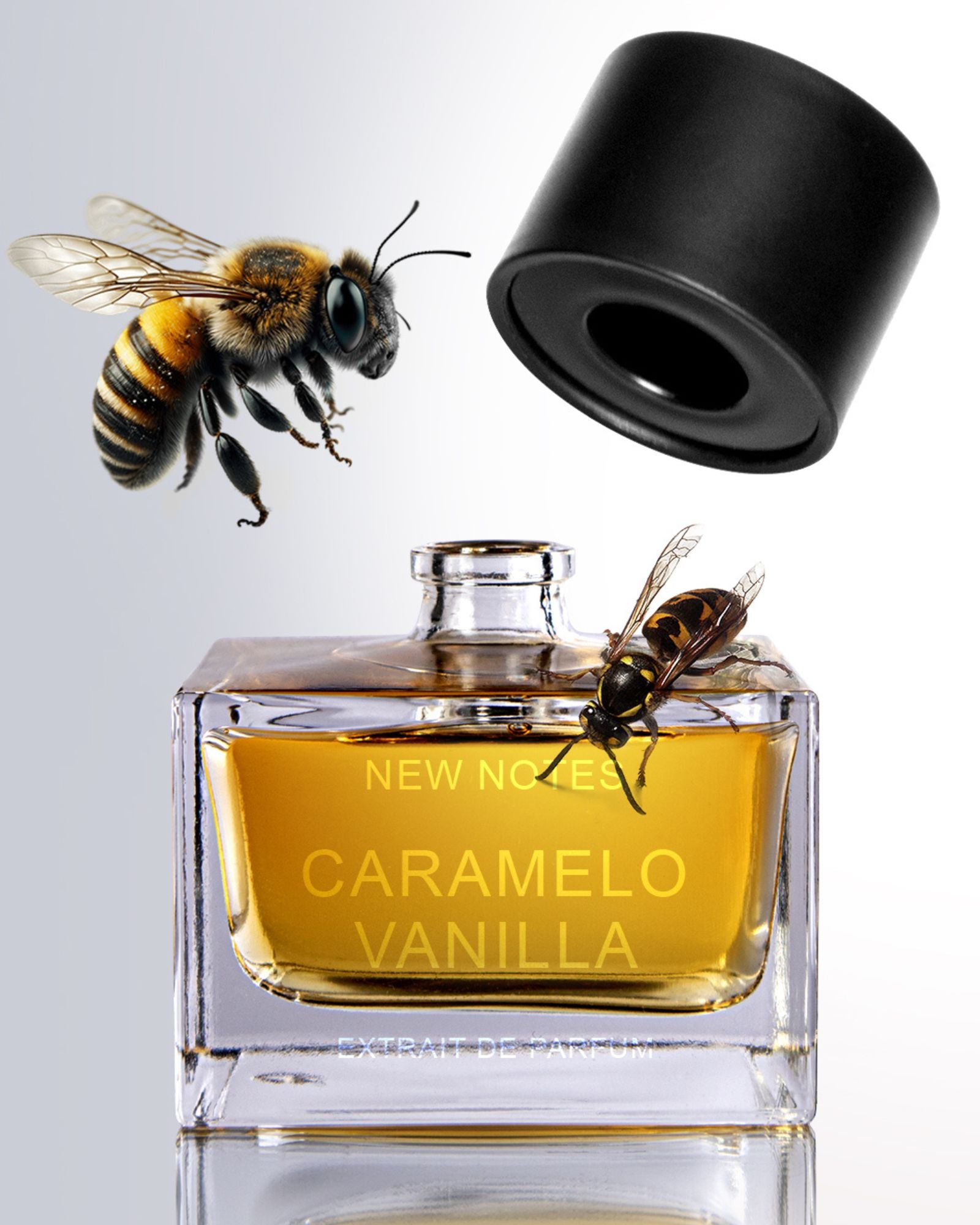 NEW NOTES - Caramelo Vanilla - Estratto di Profumo | macciocu.com