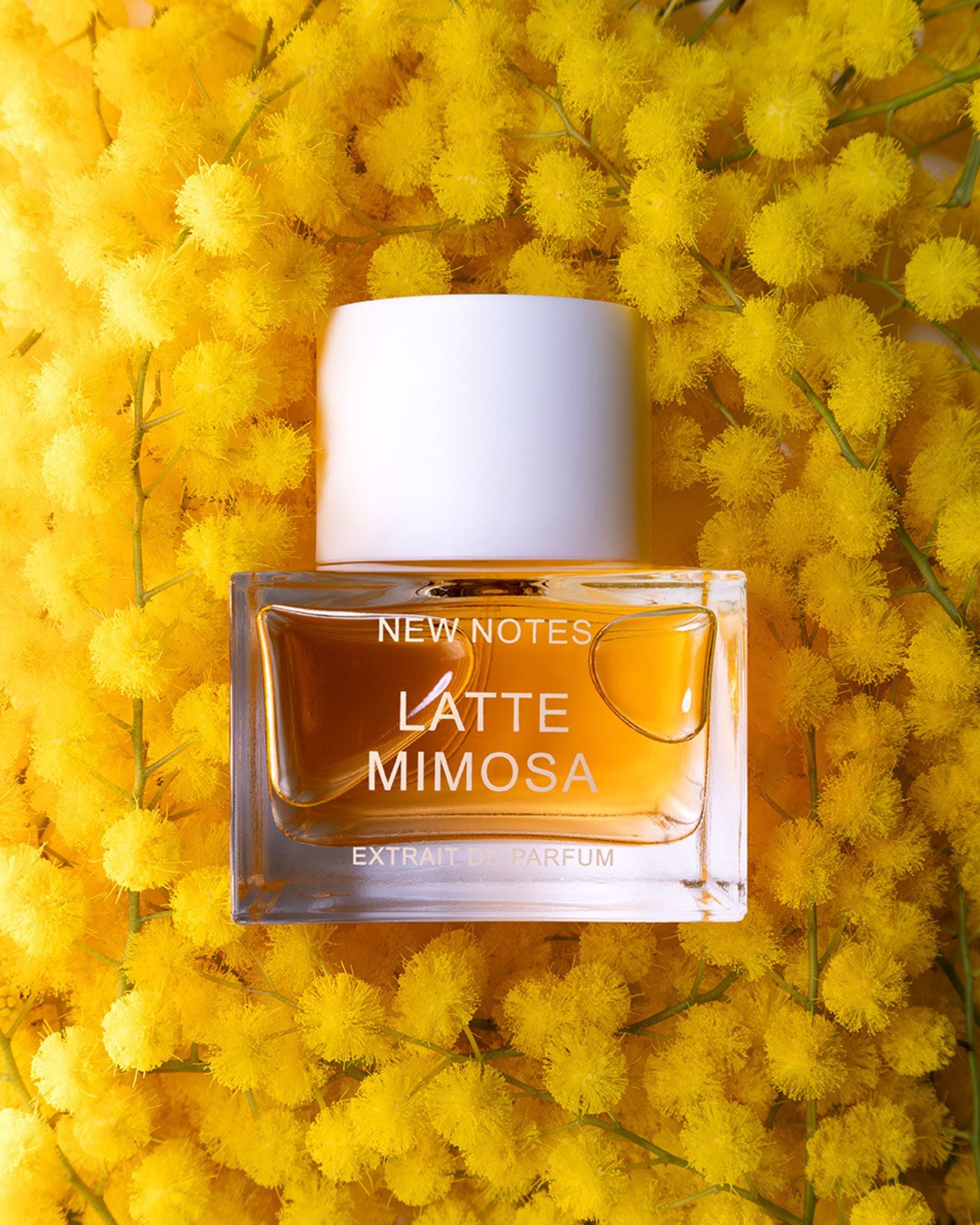 NEW NOTES - Latte Mimosa - Estratto di Profumo | macciocu.com