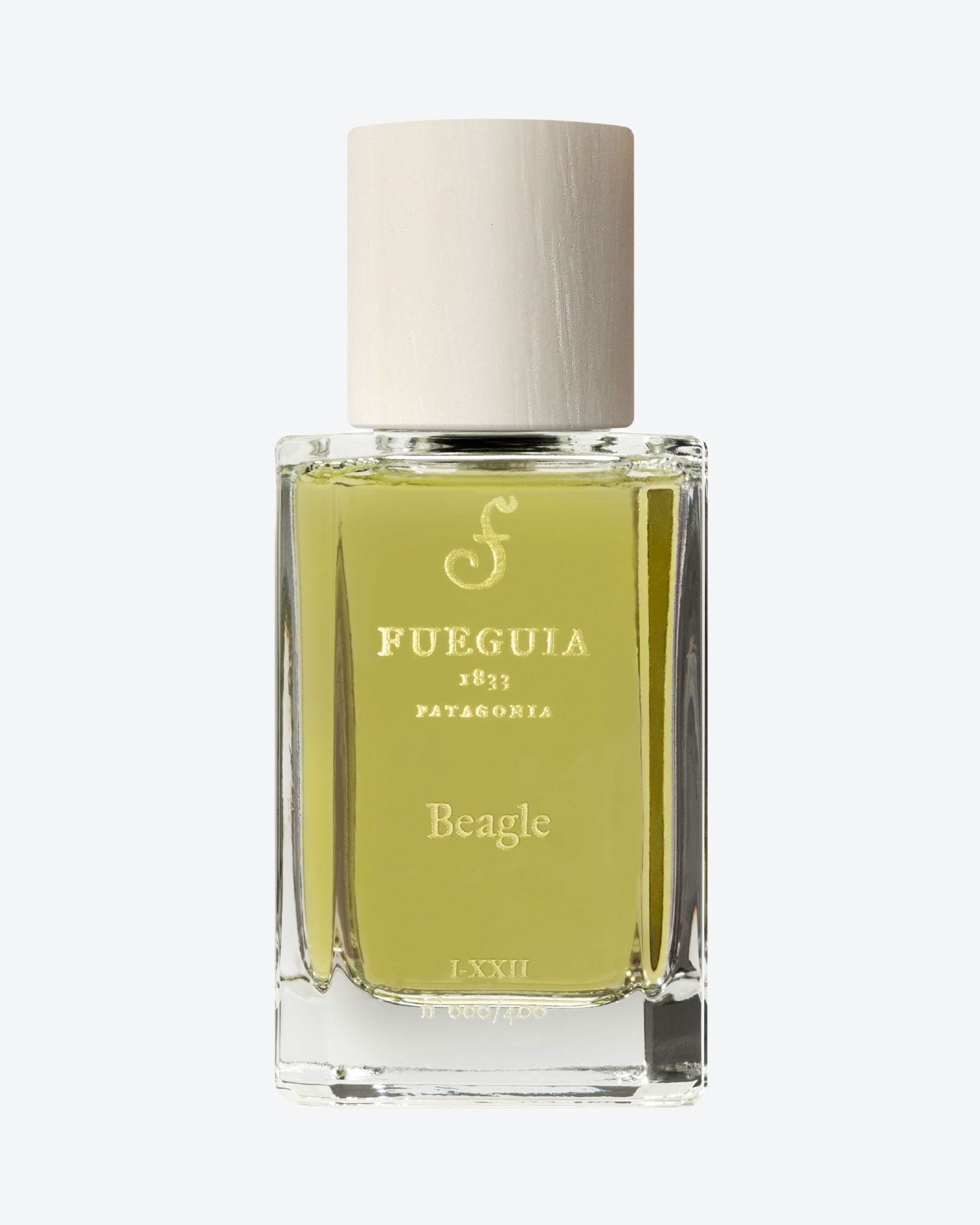 Beagle - Fueguia - FUEGUIA 1833 | Risvolto.com