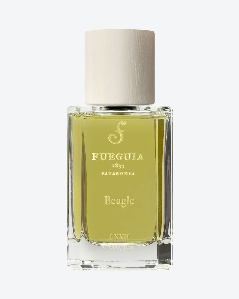 Beagle - Fueguia -  FUEGUIA 1833 |  Risvolto.com